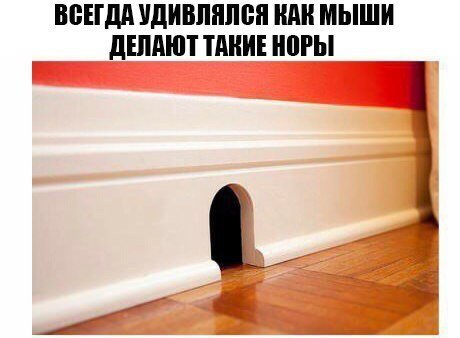 Прикольные фотомемы на Бугаге (21 шт)