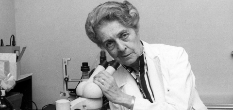 Придумали Wi-Fi, покорили Луну: 8 женщин, изменивших мир