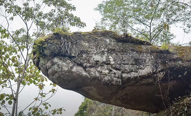 В джунглях нашли необычную пещеру, и некоторые считают ее гигантской окаменевшей змеей. Видео