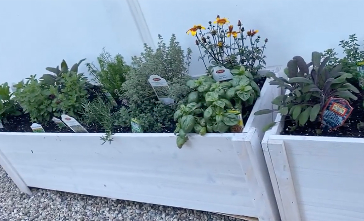 Самый молодой миллиардер мира Кайли Дженнер открыла для себя радости огородничества: "Всегда хотела это попробовать" Звезды,Новости о звездах