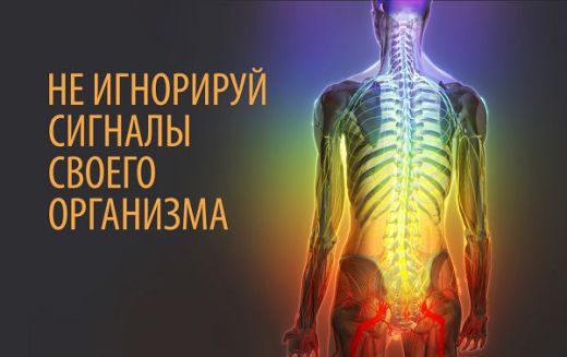 555-1466967878kng48-520x327