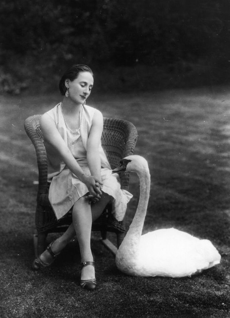 Anna Pavlova и ее лебедь Анна Павлова, балет, ностальгия