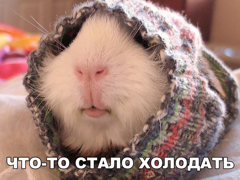 Веселые истории 