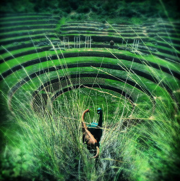 фото из путешествия с динозаврами