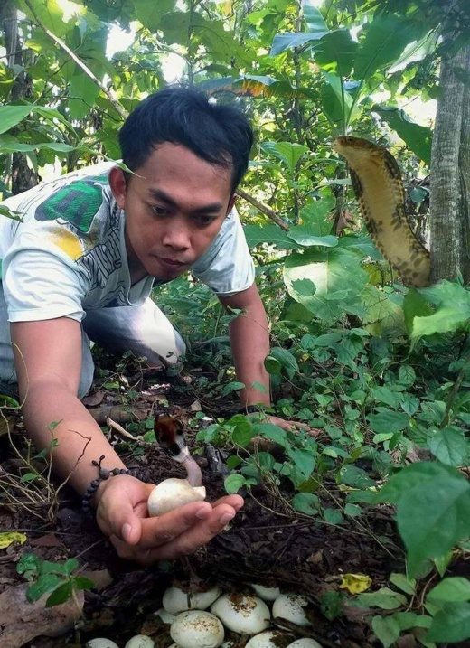 Забавные картинки в ассортименте Забавные картинки в ассортименте