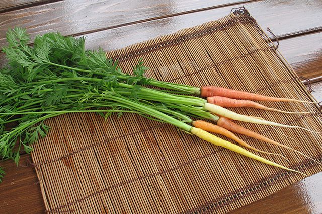 Морковь и свёкла не так просты, как кажется. 4 морковные ошибки 
