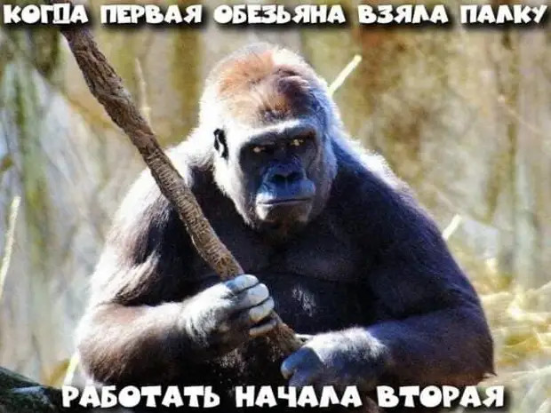 Человек, у которого нет аккаунта в социальных сетях, вызывает сначала удивление, потом жалость и, в конце концов, зависть Человек, у которого нет аккаунта в социальных сетях, вызывает сначала удивление, потом жалость и, в конце концов, зависть Сосиски, долларов, домой, Пикассо, грудном, Девушка, когда, метpах, вернет, говорит, чувствуют, зашлаБабы, Любое, Вообщето, голоден, изменение, любой, ребенок, Неудивительно, молока