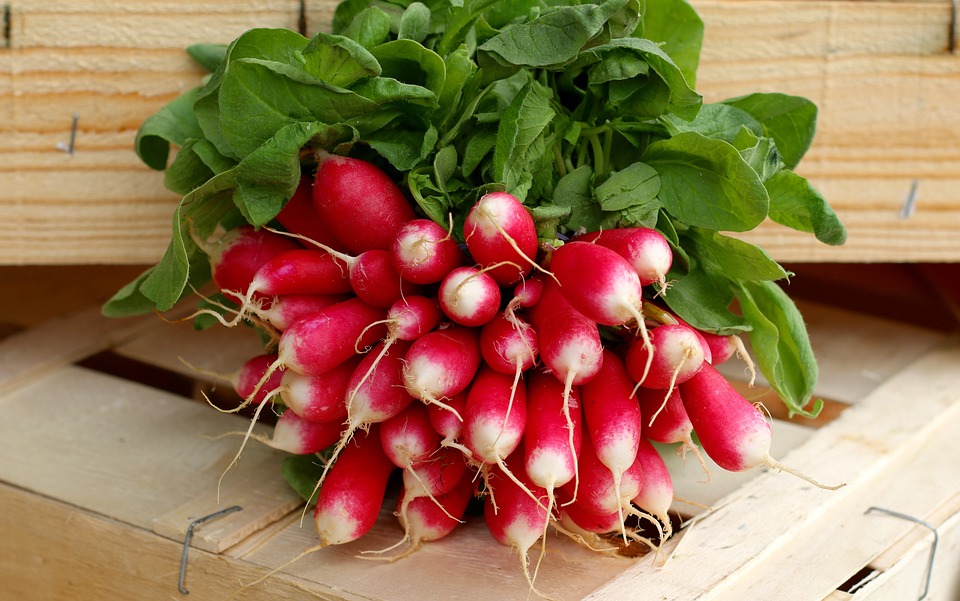 Radish, Veg, Healthy, Food, Vegetable, Vegetarian, Raw