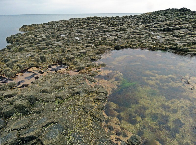Кунашир: мыс Столбчатый Кунашир: мыс Столбчатый