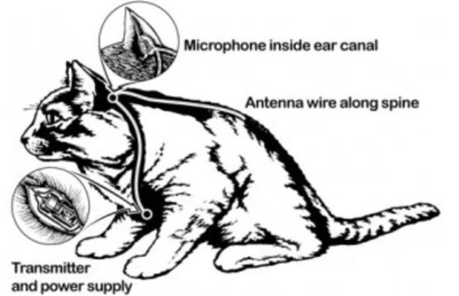 "Акустическая кошка"  -  секретный проект  разведки США 60-тых