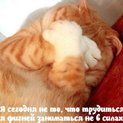 Смешно до слез, ржачные картинки с надписями Смешно до слез, ржачные картинки с надписями