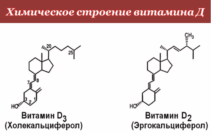 Витамин д2 и д3