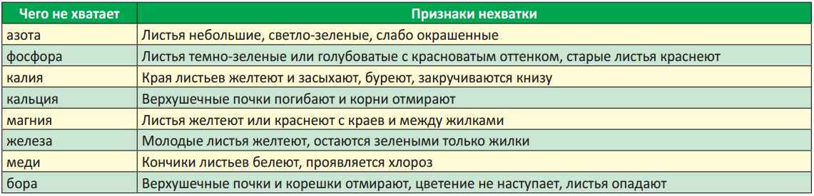 Когда и чем подкормить плодовый сад