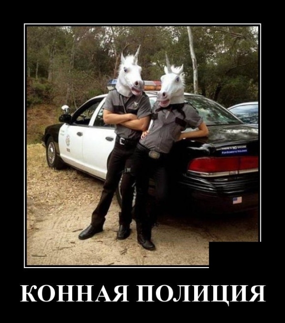 Демотиваторы среды 13.02.2019 Демотиваторы среды 13.02.2019