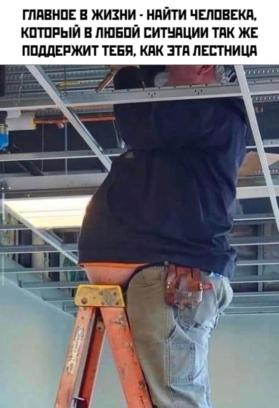 Подборка картинок. Вечерний выпуск 