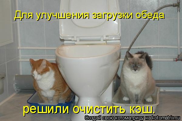 ЯНВАРСКАЯ КОТОМАТРИЦА ЯНВАРСКАЯ КОТОМАТРИЦА