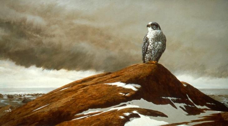 ����������-Morten-E.-Solberg--1024x566