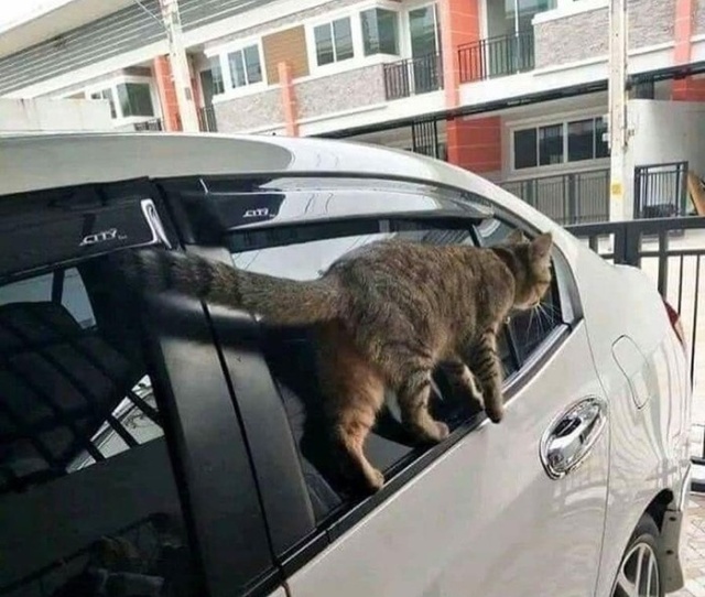 Подборка картинок с просторов интернета Подборка картинок с просторов интернета смешные картинки