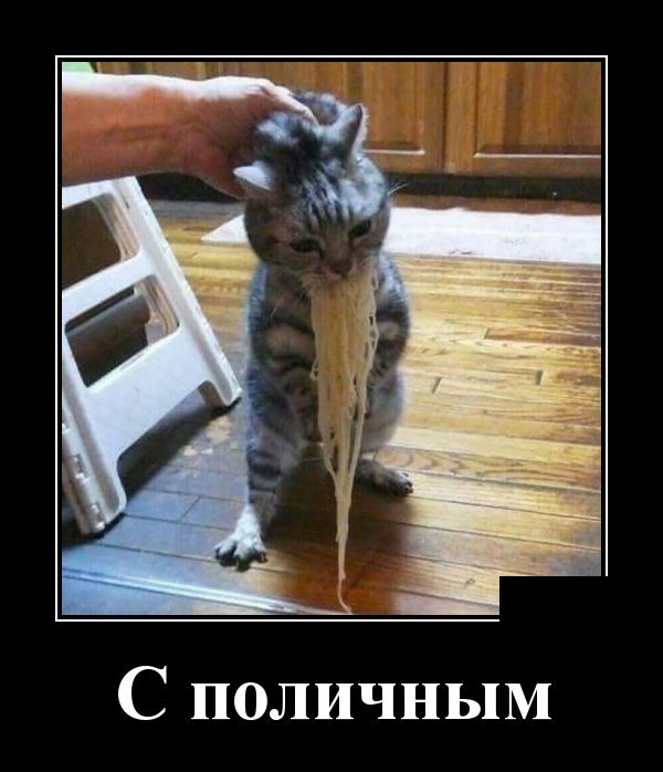 Зачетные и прикольные демотиваторы для поднятия настроения на весь день Зачетные и прикольные демотиваторы для поднятия настроения на весь день демотиваторы свежие,приколы,смешные демотиваторы,юмор