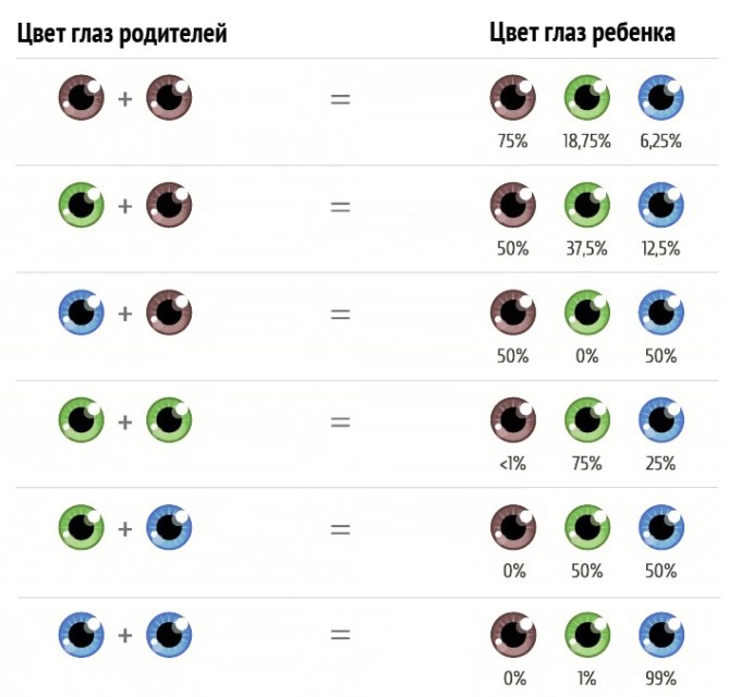 Какой цвет глаз будет у ребенка глаза, цвета, людей, может, малыша, будут, ребенка, цветом, будет, каким, только, малыш, зеленые, поэтому, видеть, большинстве, карие, рождается, говорит, разные