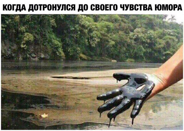 Подборка картинок. Дневной выпуск (53 фото)