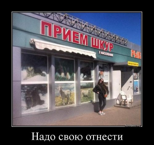 Коллекция демотиваторов на Бугаге (19 шт)