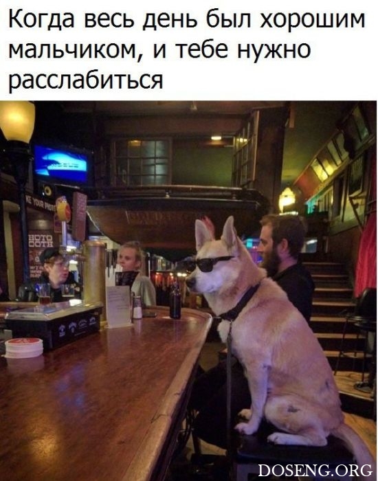 Прикольные картинки