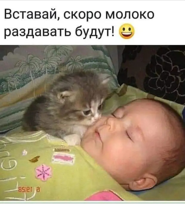 В Иваново во время белого танца затоптали мужчину г,Иваново [588083],Иваново г,о,[95241148],Ивановская обл,[588052]