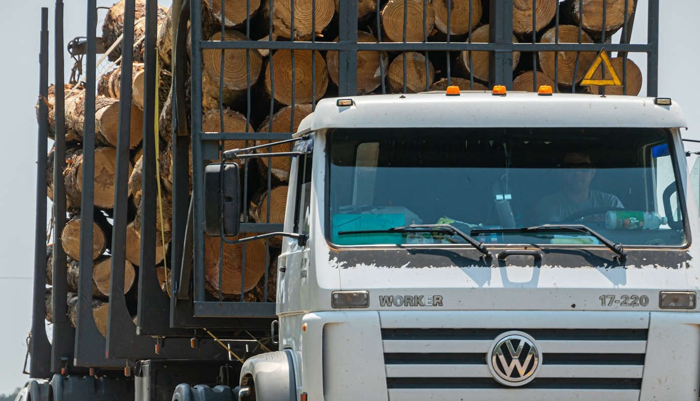 Глава МВД Колокольцев сообщил о пресечении крупной контрабанды леса в Иркутской области