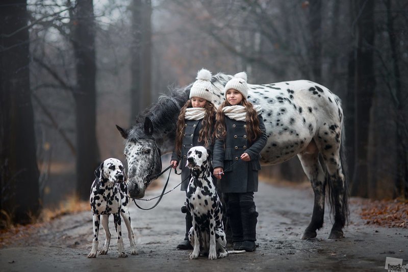 Прогулка © Юлия Шепелева / Ивантеевка Best of Russia, в мире, кадр, конкурс, люди, россия, фото