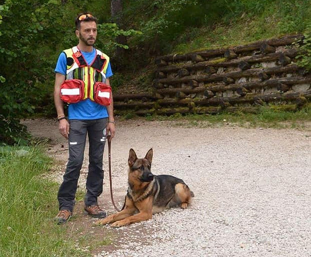 Вся Италия оплакивает пса-героя, которого отравили и требует наказать отравителя, как за убийство человека истории из жизни