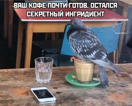 Новые фоприколы дня 