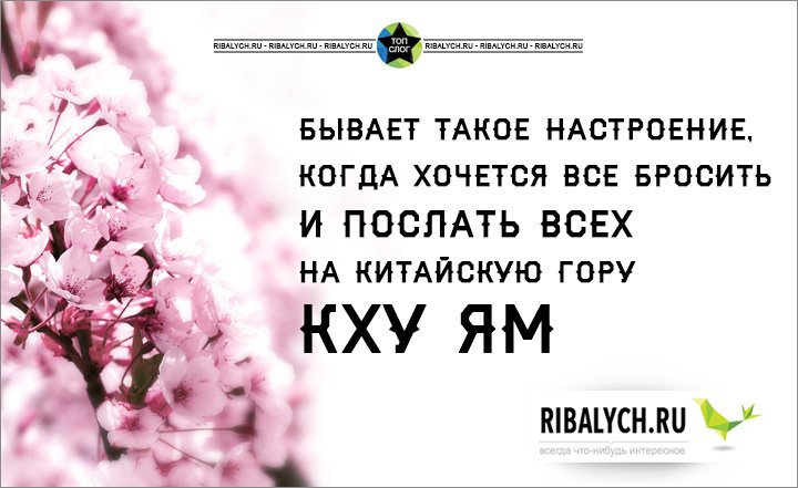 Хочу послать. Иногда хочется всё бросить. Настроение когда хочется послать всех. Хочется послать все. Когда хочется все послать.