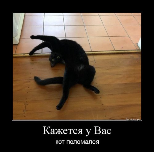 Страшно смешные фото.. анекдоты,демотиваторы,приколы,юмор