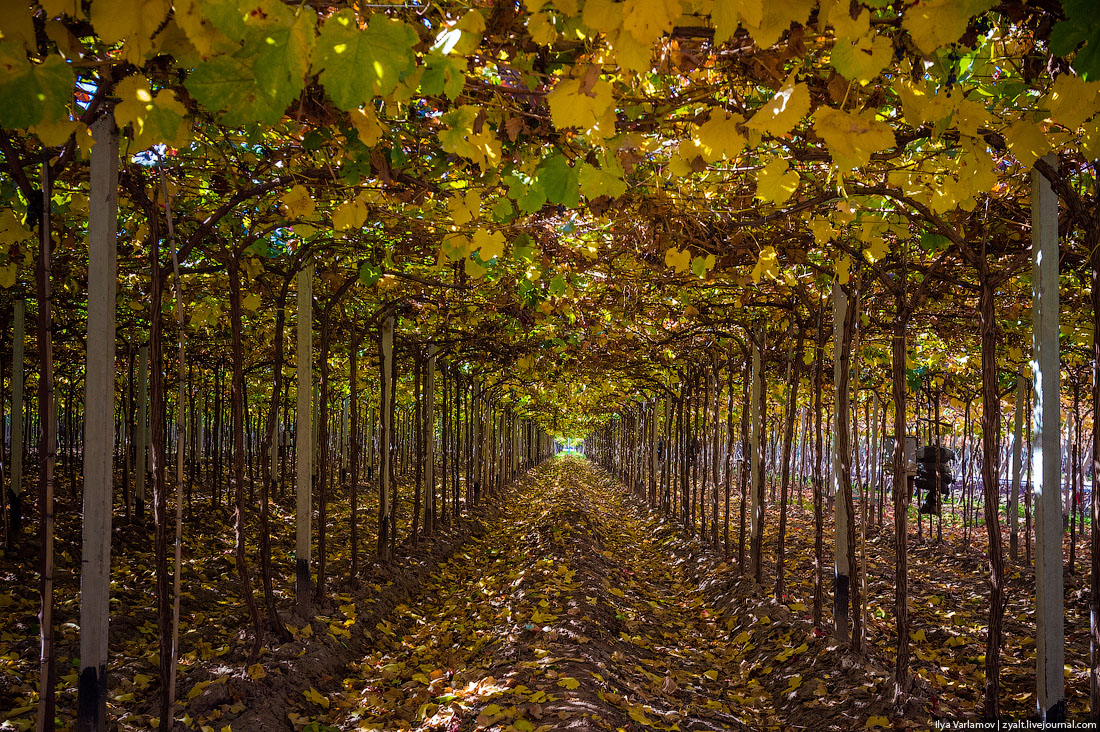 Топ-20 мест для путешествий: куда поехать в 2020 году 