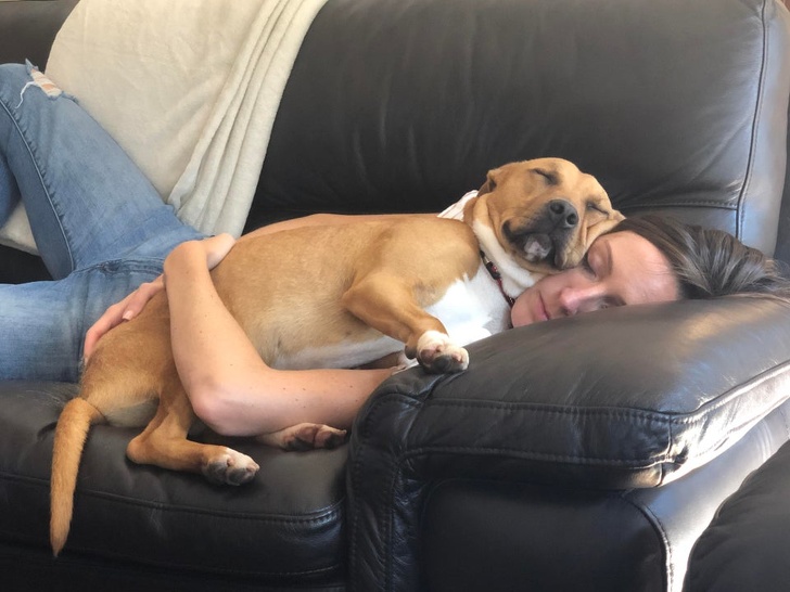 20+ доказательств того, что подарить бездомным животным новую жизнь — бесценно животные,жизнь,общество,приюты