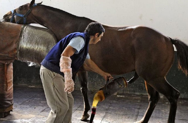 Отвратительные профессии интересное,мир,профессии