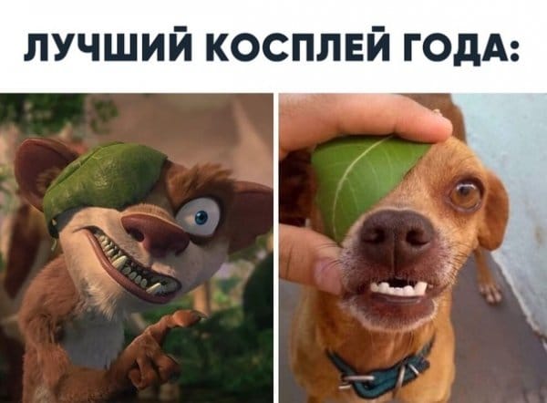 Милый, я поцарапала твою машину анекдоты,веселье,демотиваторы,приколы,смех,юмор