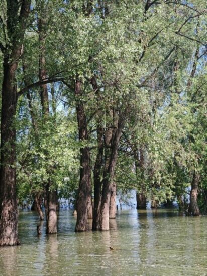 Для мужчин и женщин!