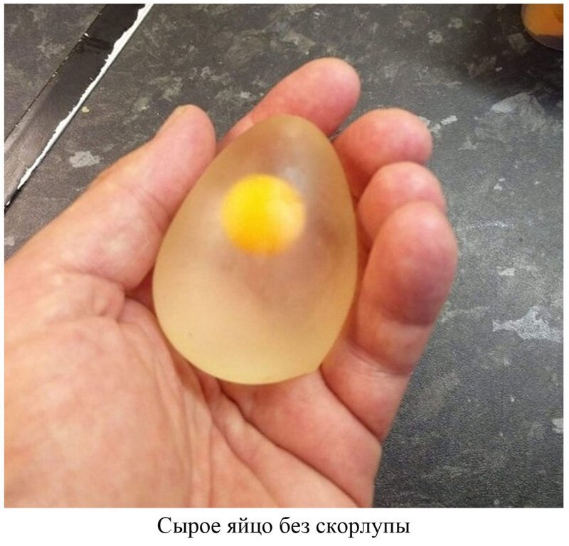 Вы видели всё в жизни? 