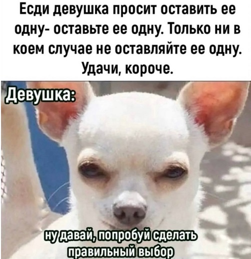 Жители Алупки всегда со смущением отвечают на вопрос "Откуда Вы?" г,Москва [1405113],респ,Дагестан [78545]