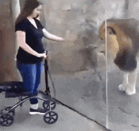 Подборка гифок Подборка гифок смешные картинки