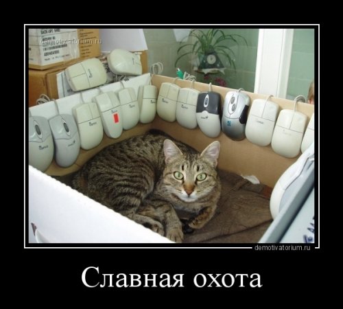 Славная охота. Прикольные демотиваторы Славная охота. Прикольные демотиваторы