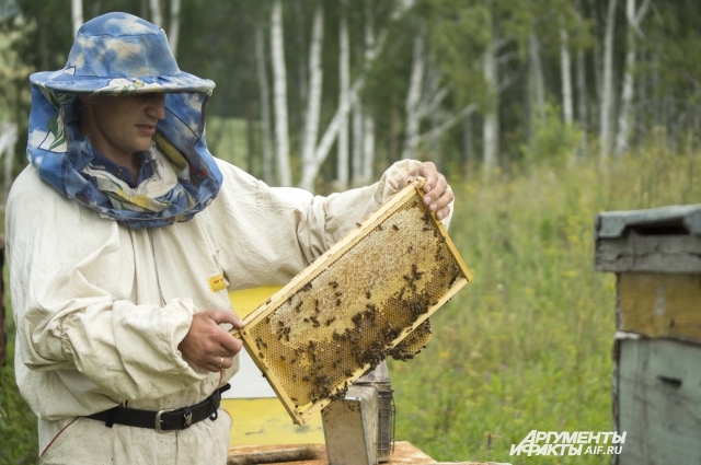 Стоимость мёда обычно в 7 раз выше стоимости сахара.