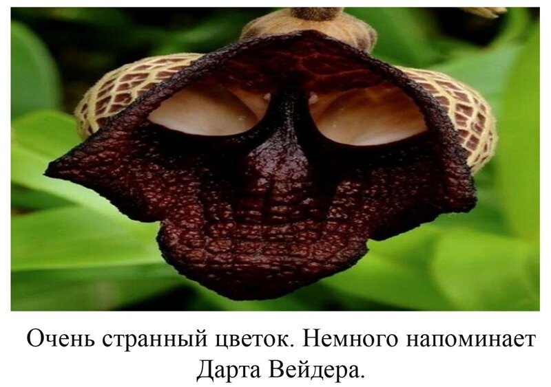 Вы видели всё в жизни? 