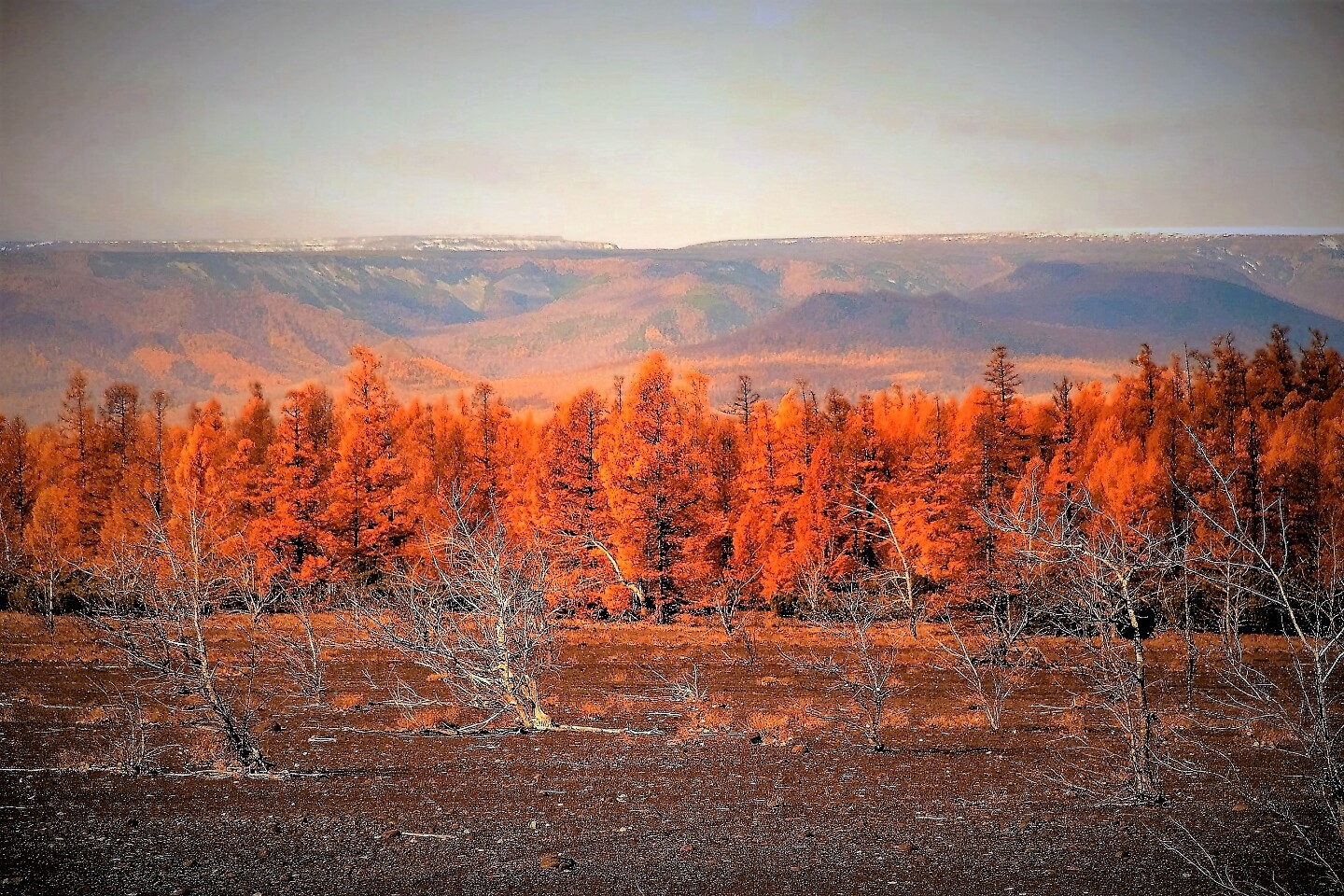 Путешествие 60+ Часть 1 Камчатка Путешествие 60+ Часть 1 Камчатка