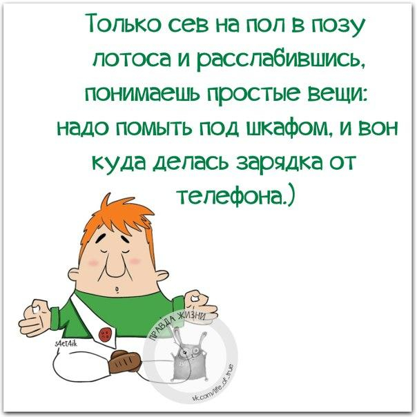 - Что главное в боксе?- Шубы!- Что?! Какие еще шубы?!- Шелые передние шубы! веселые картинки