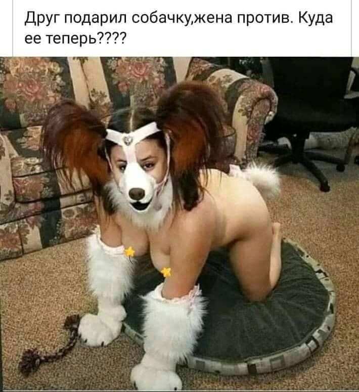 - А чем вы кормите своего мужа?... купишь, конечно, дежурный, лучше, куплю, поедем, чтобы, время, Какая, кривоногая, голубоглазая, женщиной, поясняет, стройная, мужчиной, между, процесс, спатьИзвестный, ложись, одевайся