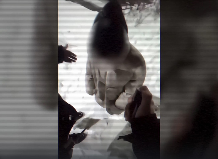 НАШЕСТВИЕ ЧЁРНЫХ ПАУКОВ: ГЛАВНЫЙ УДАР ПО РУССКИМ ГОТОВИТСЯ НЕ НА ФРОНТЕ россия