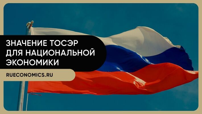 Опыт ТОСЭР показал важность модернизации институтов развития РФ